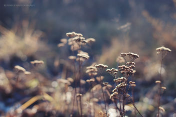 273/365 Somewhere With You - image gratuit #285697
